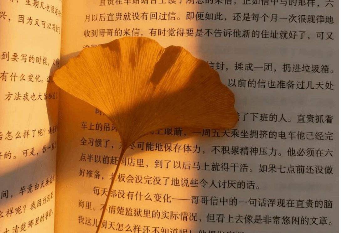 用色谱打开燕大:给你点“颜色”看看